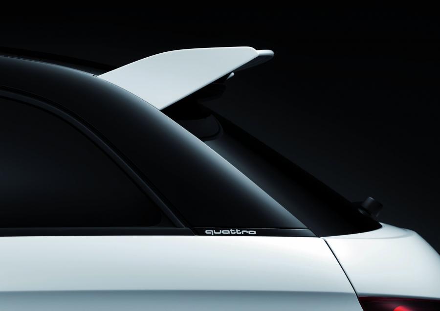 Детали экстерьера Audi A1 Quattro (8X) 2012 года  (фото 41 из 53)